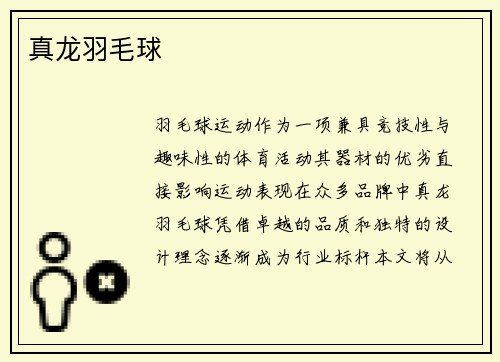 真龙羽毛球