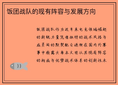 饭团战队的现有阵容与发展方向